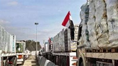 شباب مصر: متطوعون في حب بلدنا ودعم القضية الفلسطينية