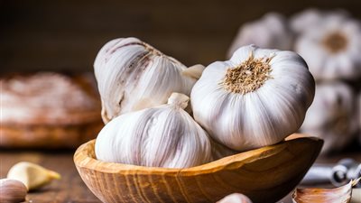 خاص| ارتفاع أسعار الثوم.. أزمة مؤقتة في السوق المصرية وحل قريب يلوح في الأفق