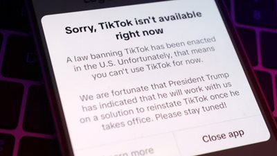 وزير بريطاني: فيديوهات القطط على 