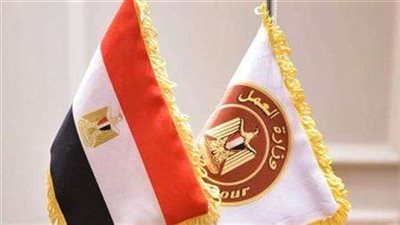 وزارة العمل تعلن عن 50 فرصة عمل للمدربين الرياضيين في الإمارات براتب 9000 درهم