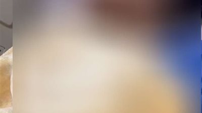 فصل الطلاب نهائيا.. قرارات عاجلة من التعليم بشأن واقعة الاعتداء على طالبة بمدرسة دولية