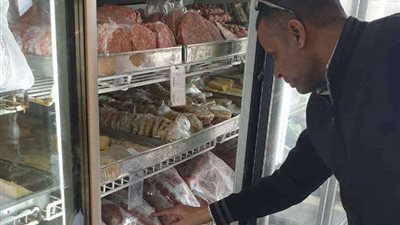 الجيزة تضبط 6 طن لحوم ودواجن وأسماك فاسدة في حملات تفتيشية مكثفة