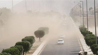 حالة الطقس في مصر اليوم الجمعة 24 يناير 2025 .. رياح وضباب وأمطار