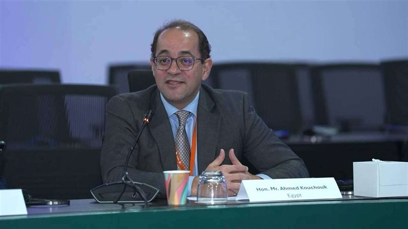 وزير المالية أحمد