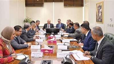 نائب رئيس مجلس الوزراء يبحث معايير الموافقة على إنشاء المناطق الحرة الجديدة