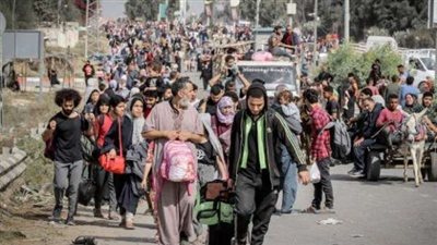 ألمانيا ترفض تهجير الفلسطينيين ومصر تؤكد دعمها الثابت لحقوق الشعب الفلسطيني