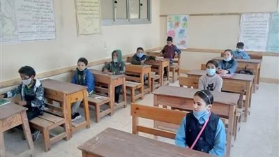 ظهرت الآن.. رابط الاستعلام عن نتائج الامتحانات للمرحلتين الابتدائية والإعدادية بالجيزة