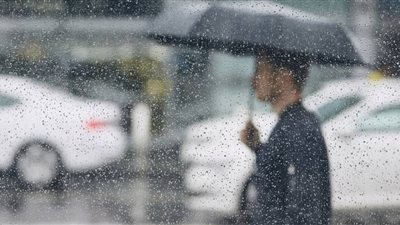 درجات الحرارة اليوم الجمعة 31 يناير 2025 .. برودة ليلية ملحوظة