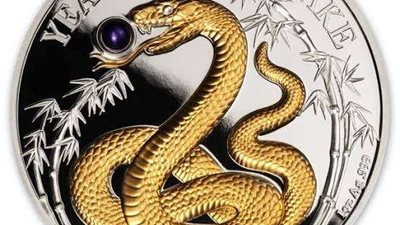 الاحتفال به وصل الفضاء.. ماذا تعرف عن عام الثعبان في الصين؟