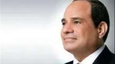 السيسي يبحث مع وزير خارجية جيبوتي تعزيز التعاون والاستقرار الإقليمي