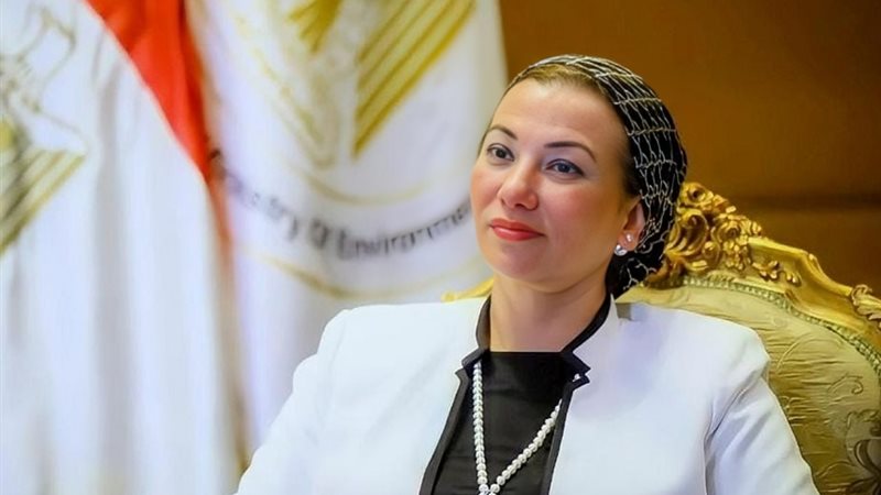 الدكتورة ياسمين فؤاد