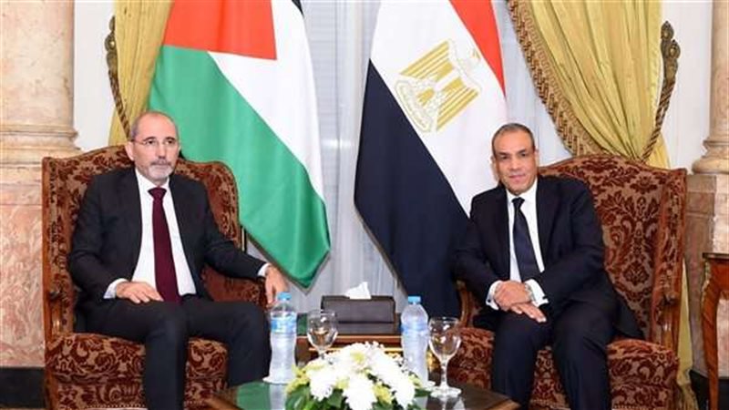 بدر عبدالعاطي وأيمن