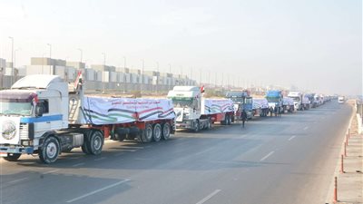 مصر تواصل تأمين وإدخال قوافل المساعدات الإنسانية إلى غزة
