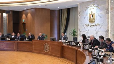 لريادة الأعمال .. مدبولي يعقد اجتماع للمجموعة الوزارية