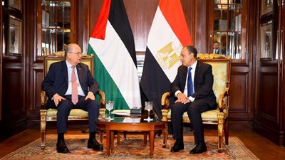 وزير الخارجية لنظيره الفلسطيني: نرفض التهجير وندعم حل الدولتين