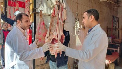 حملة تفتيشية بسوهاج تضبط 160 كيلو لحوم غير صالحة للاستهلاك الآدمي
