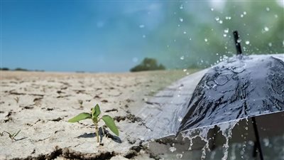 حالة طقس بلدنا اليوم الخميس 6 فبراير 2025 .. نشاط للرياح وأمطار متفرقة