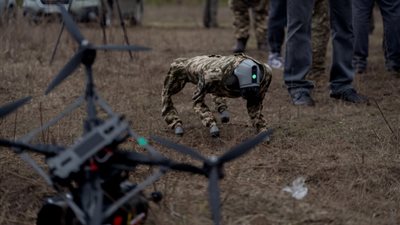 تحقيق ألماني في أعمال تخريب يُشتبه بتمويل روسي لها