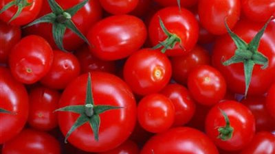 مع قرب حلول شهر رمضان.. أسعار الطماطم اليوم الخميس 6 فبراير 2025