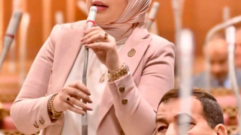 النائبة دينا هلالي