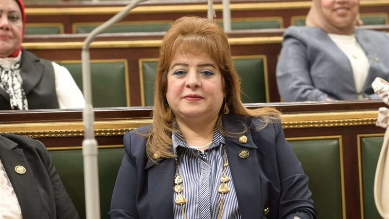 النائبة هناء أنيس
