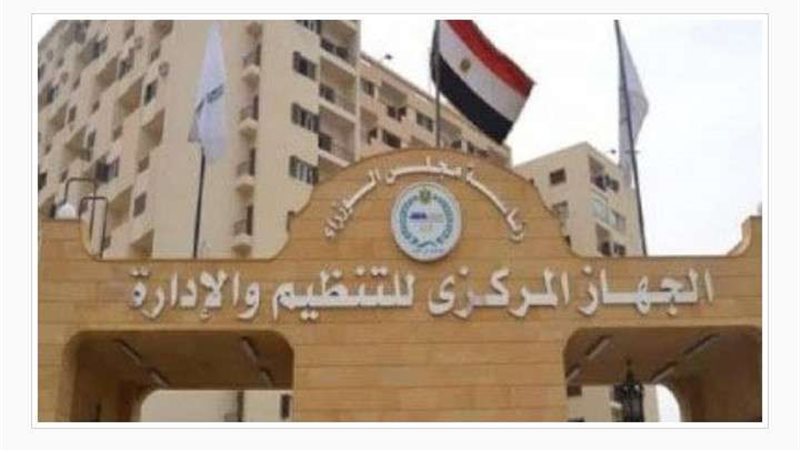 التنظيم والإدارة