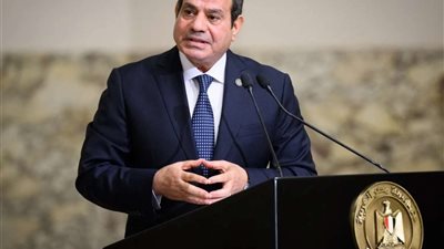 مصر والدنمارك تشددان على ضرورة إقامة دولة فلسطينية عاصمتها القدس