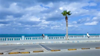 حالة الطقس في الإسكندرية اليوم الأربعاء 12 فبراير 2025