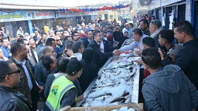 تعرف على أسعار الأسماك والجمبري في الأسواق اليوم الأربعاء 12 فبراير 2025