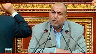 النائب محمد هاشم: الاصطفاف خلف القيادة السياسية في الوقت الحالي واجب وطني وليس موقف سياسي