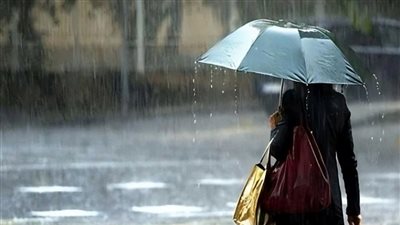 طقس الخميس مائل للبرودة نهارا والصغرى بالقاهرة 10 درجات