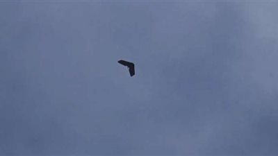 روسيا تسقط 83 طائرة مسيرة أوكرانية خلال هجوم ليلي واسع