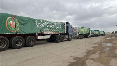 مصر لم تتلقَ أي رسوم مقابل إدخال المساعدات إلى غزة.. توفر 70% منها