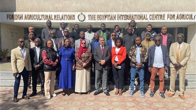 مصر تقود التعاون الزراعي الإفريقي.. برنامج تدريبي لمكافحة الآفات بمشاركة 12 دولة