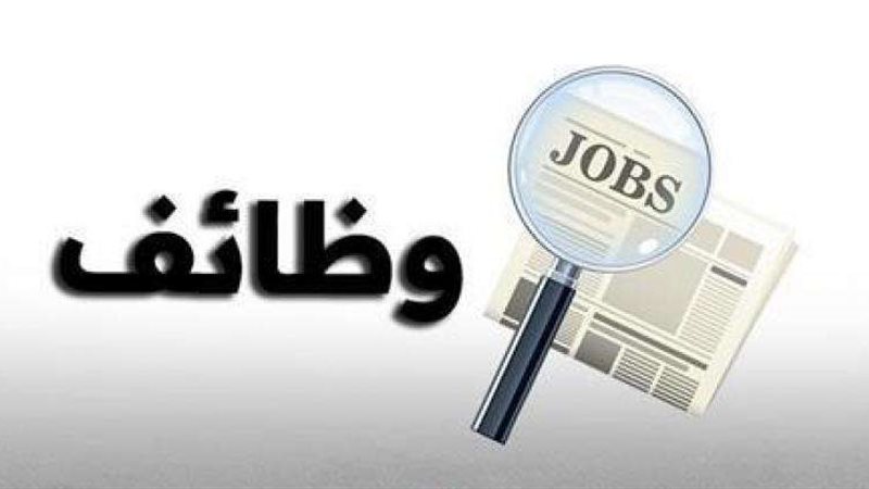 وظيفة جديد بصندوق