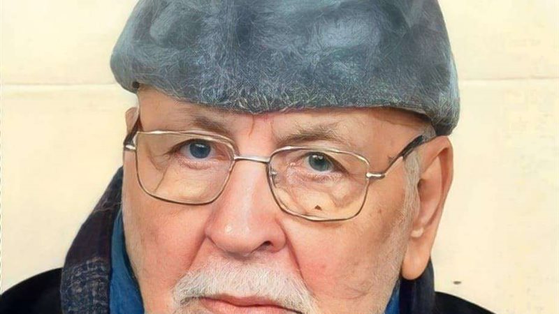 السيد محمد علاء الدين