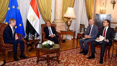 وزير الخارجية يؤكد ضرورة تسريع إيصال المساعدات الإنسانية لقطاع غزة