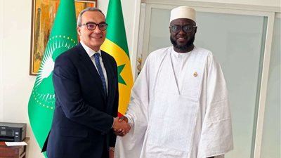 السفير المصري يلتقي برئيس مجلس النواب السنغالي