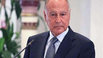 أبو الغيط: القضية الفلسطينية تواجه خطر التصفية وسط تحديات إقليمية خطيرة