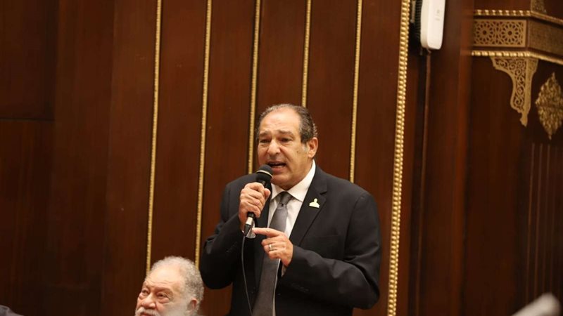 النائب حسام الخولي