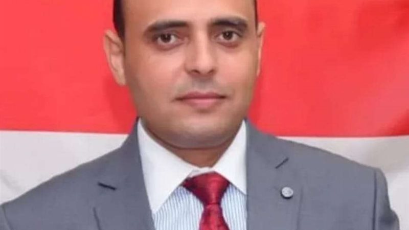 السيد خضر، الخبير