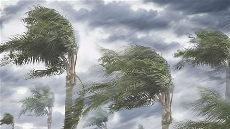 الأرصاد تحذر: طقس