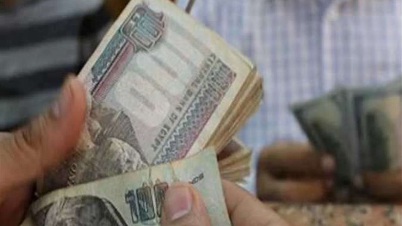 جدول مرتبات المعلمين