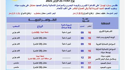 بارد نهارا.. الأرصاد تكشف حالة الطقس المتوقعة اليوم الثلاثاء 25 فبراير 2025