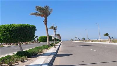 ارتفاع الحرارة مستمر.. حالة الطقس اليوم الخميس 27 فبراير 2025