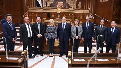 تعزيز العلاقات المصرية القبرصية في لقاء برلماني رفيع المستوى