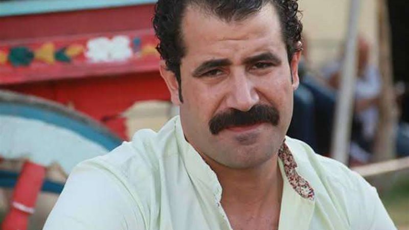 الفنان محمود حافظ
