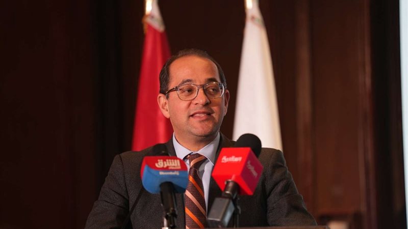وزير المالية احمد
