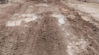 إطلاق مشروع تطوير شارع الرشاح بمسطرد بتكلفة 51 مليون جنيه