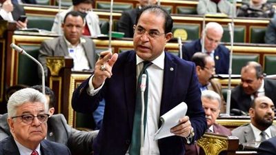 وهدان: القمة العربية تعكس دور مصر المحوري في قيادة العمل العربي المشترك